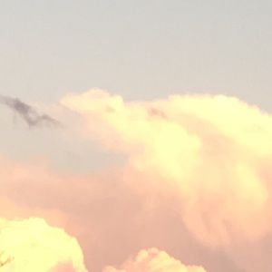 Meet your Posher, Tonya